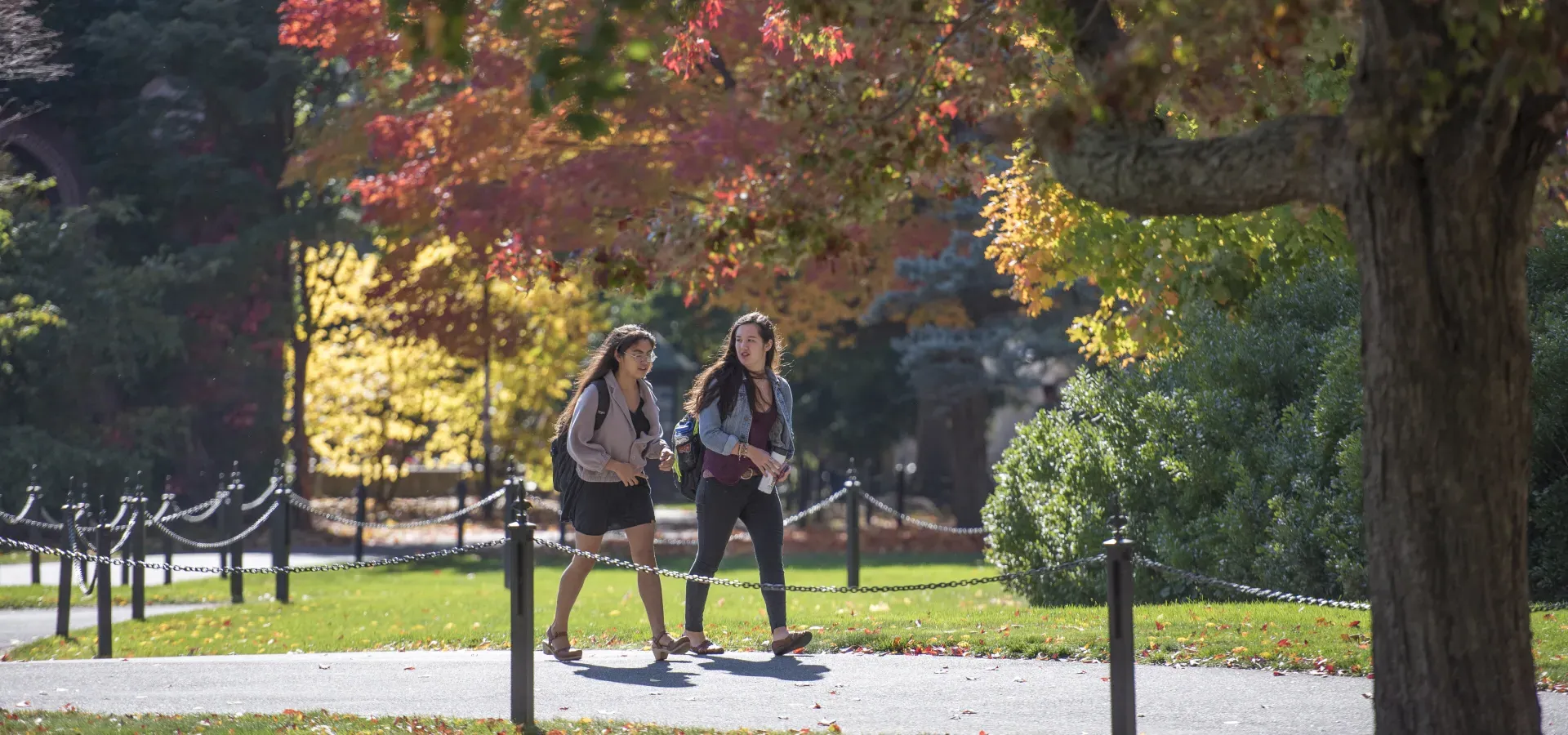 Two students walking down a campus path.